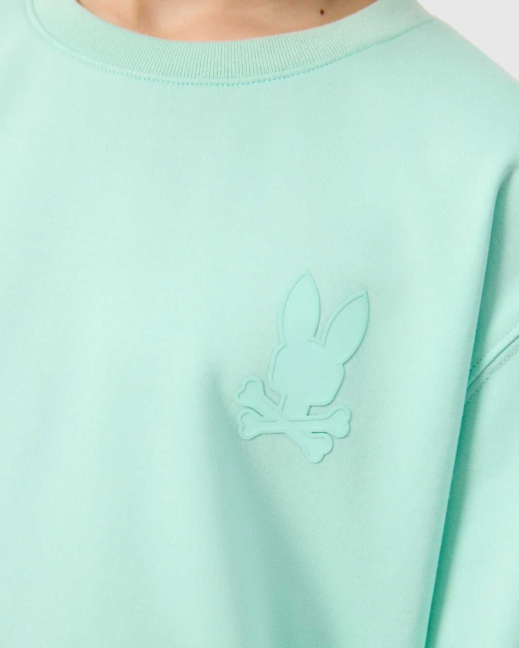 Polos Psycho Bunny Houston French Terry Crewneck Beach Glass Enfant | EPO-45940882